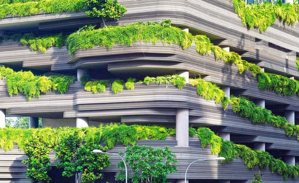 An abstract image of a modern office building with external foliage