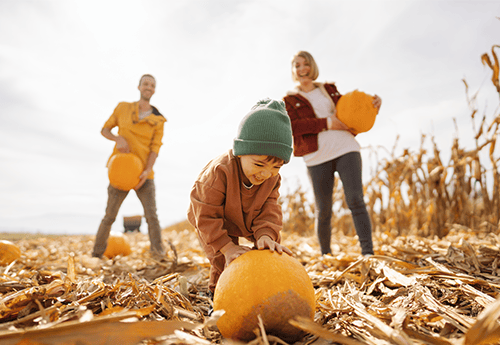 Continued supply chain disruptions cause new Halloween fright