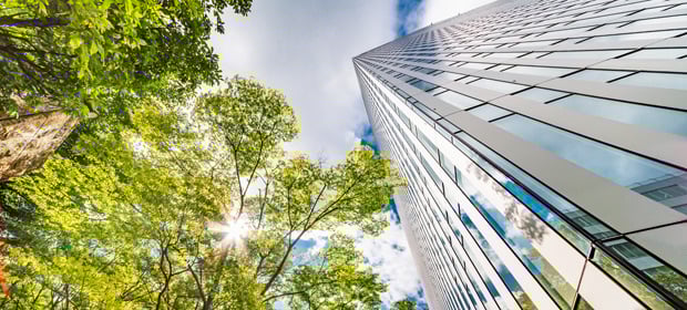 Environment Bill 2020: A Planning and Development Update